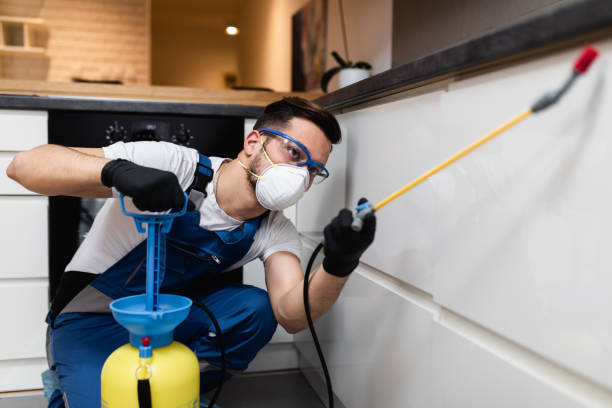 Trusted Clinton, NY Pest Control Experts