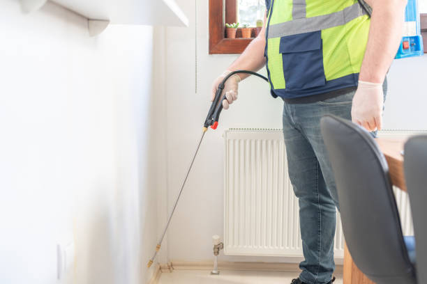 Best Flea Control Services  in Clinton, NY